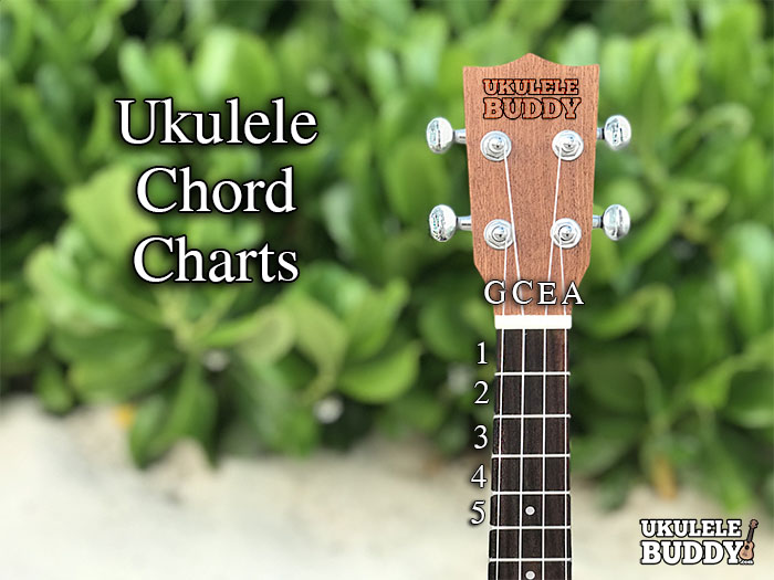 ukulele chords sharp